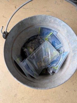 Bucks County Landscaping