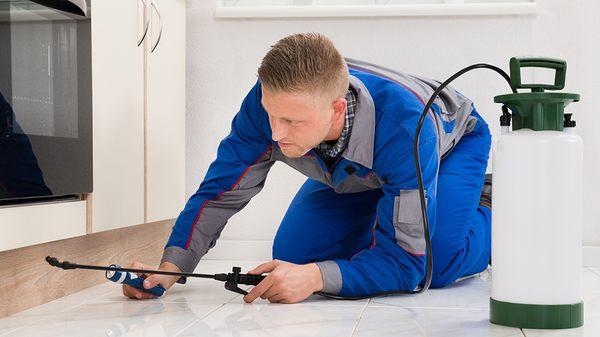 Bennett Pest Control