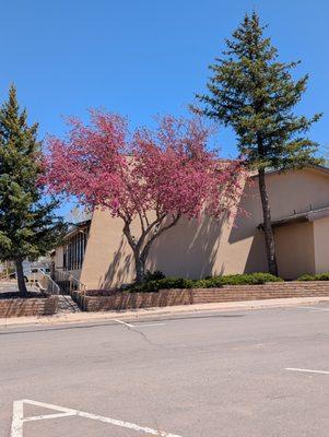 Williams Public Library