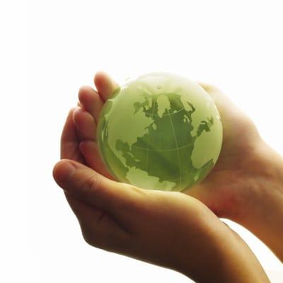 Citizens Insurance Services