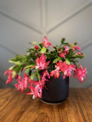 Berry + Clay Home & Florals