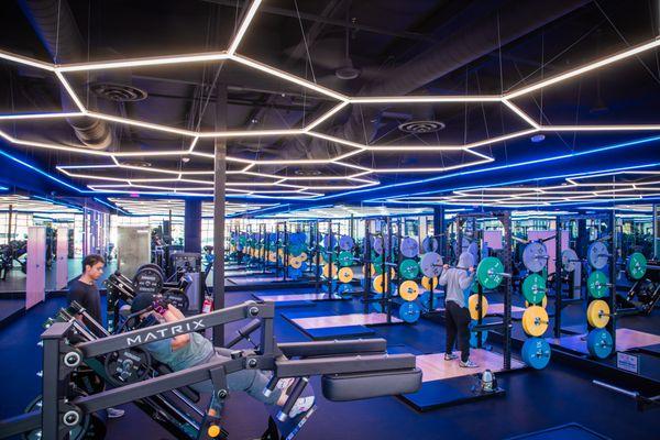 Unlock access to The Vault, our exclusive workout room with top-tier, specialized equipment.