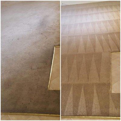 Ocean Brite "Quick Dry" Carpet Cleaning