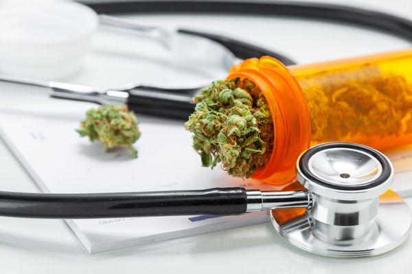 Medical Cannabis Clinics of Florida