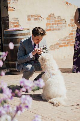 Bethany Inge Photography