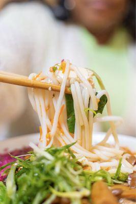 Yunnan By Potomac Noodle House