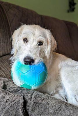 Snoopy's ready to play!