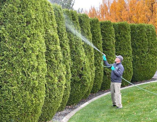 Senske Services-Coeur D'alene