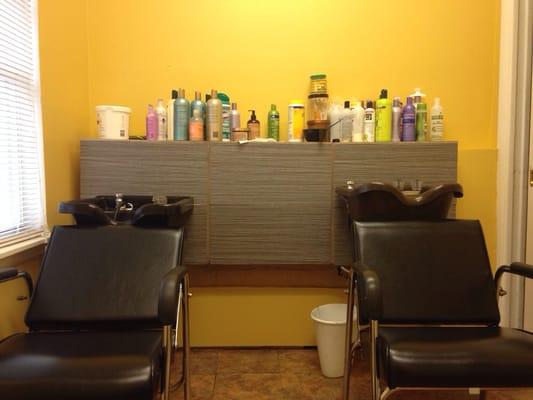 Revelations Image Salon