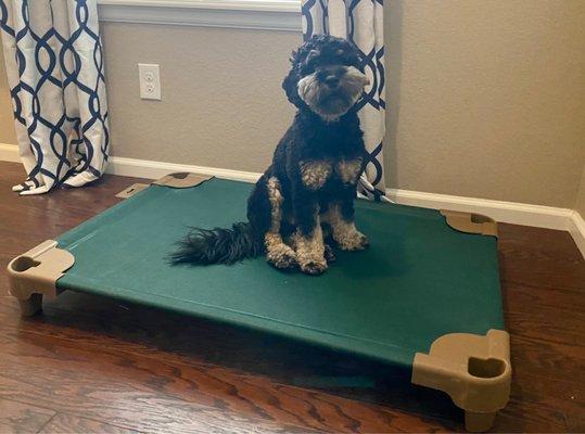 Mountain State K9 Academy