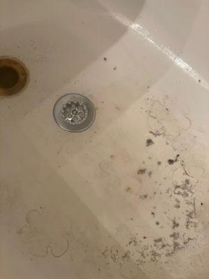 NoSpot Cleaning Services