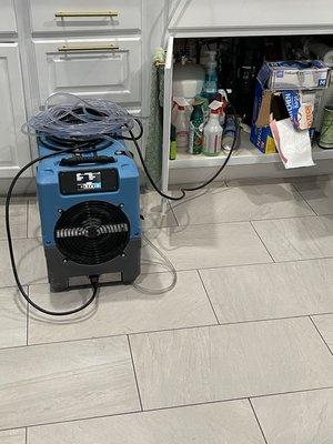 Blue Ribbon Restoration Consultancy