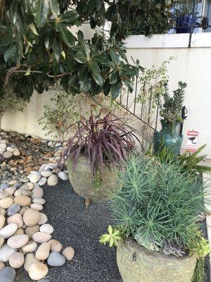 Solo Appliance Repair