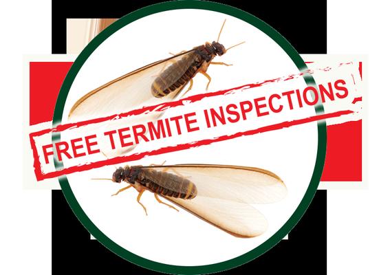 Kilter Termite & Pest Control
