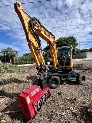 Famous Palms Tree Services