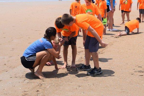 Ecological Marine Adventures