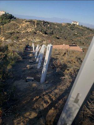 Peter's Tree & Hardscape Services