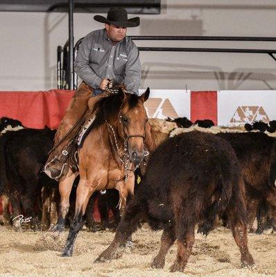 Bandalero Ranch-Equine