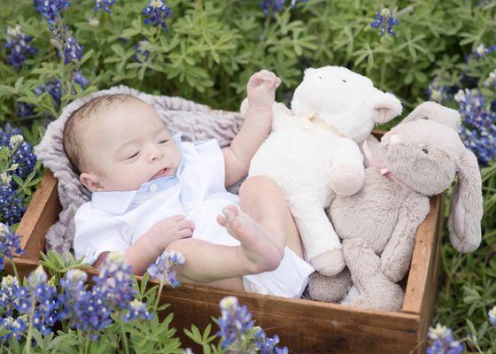 Erin Elizabeth Photography