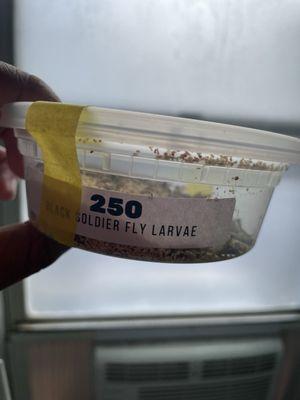 All Creatures Veterinary Clinic