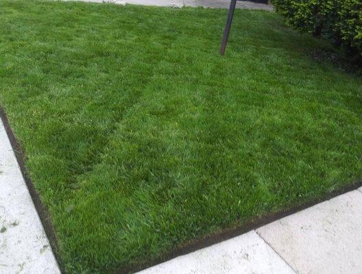 D Personal Touch Lawn Care & Services