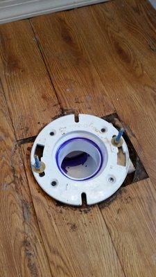 The Friendly Plumber