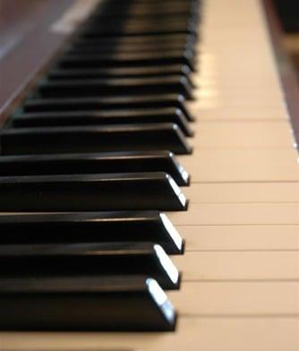 Piano Zoo - Tuning Lesson Education History Gear Gift Fun Stuff