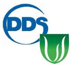 Dorsey Discount Services