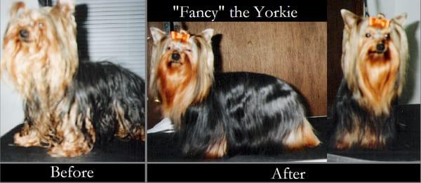 Country Life Bed & Biscuit