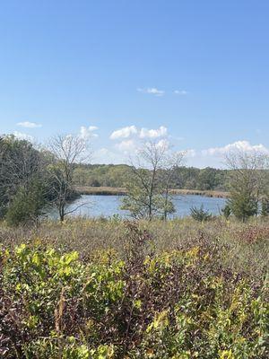 McDonald Woods