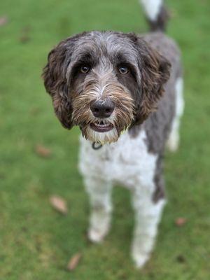 Abbott Everything Services