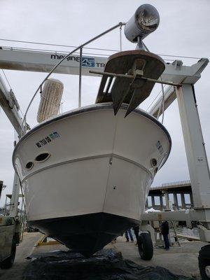 Corsica River Marine Surveys