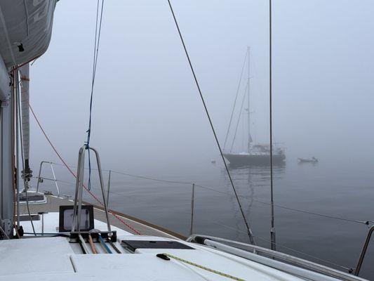Burr's moorings in the fog