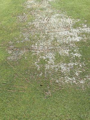 Some greens are even worse!