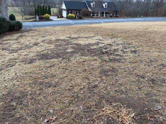 "Repaired" area of center front yard
