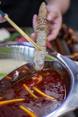 XhOtpOt — The Boiling House