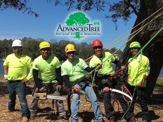 Outer Banks Tree Service | Skilled Arborists