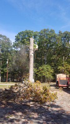 Hernandez Complete Tree Services