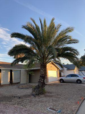 Superstition Landscapes