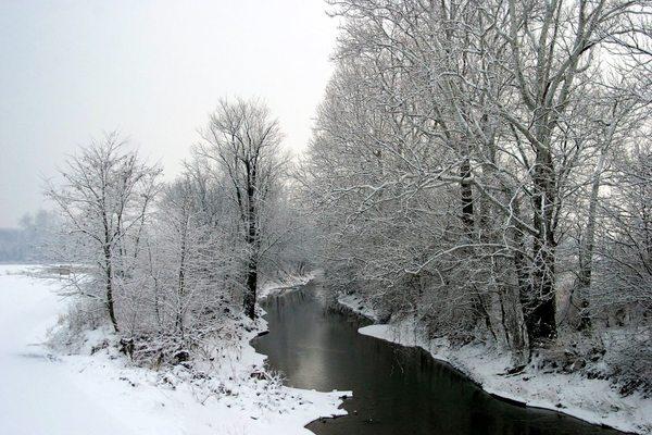 Miami Whitewater Forest