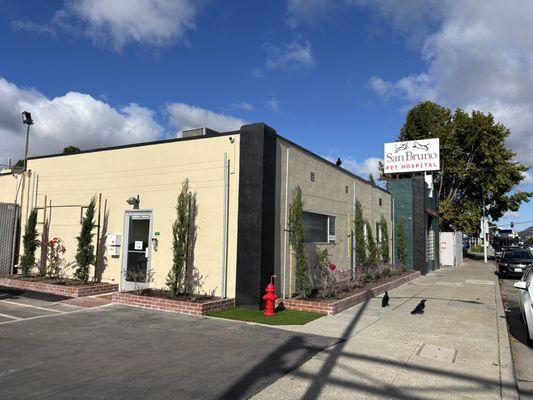 Here's the north facing view of San Bruno Pet Hospital from the parking lot.