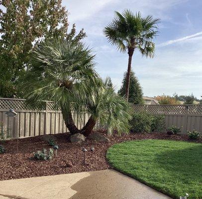Great Outdoors Landscaping & Tree Service