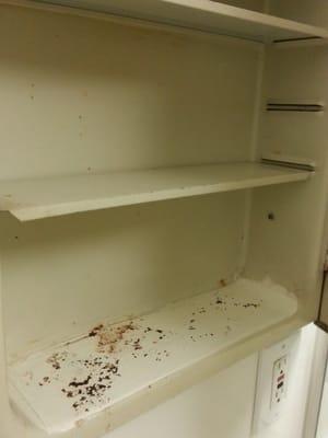 Day 1: Rust spots from the last tenant who was there 10+ years, yet it still wasn't enough reason for replacement. Bravo.