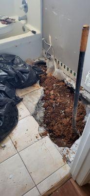 The bathroom where they originally said the leak was.