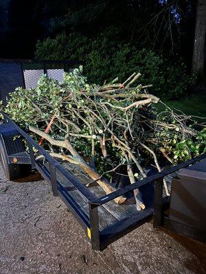 S&T Odd Job Services