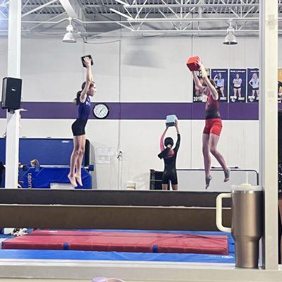 Showcase Gymnastics