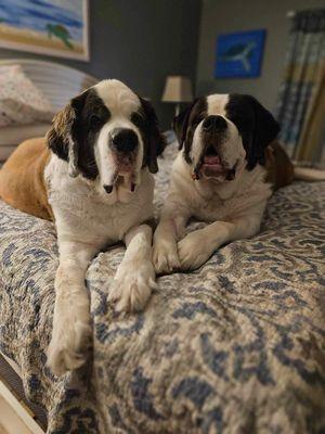 Next Generation Construction Solutions