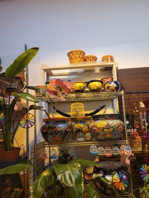 Plants Garden Decor and Crafts