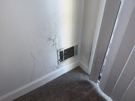 Caton House Apartments