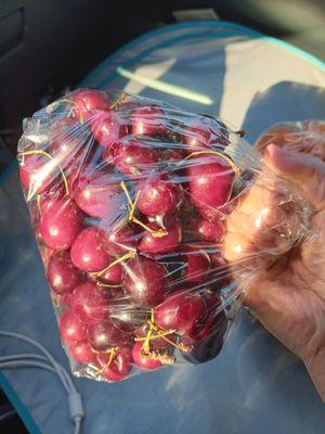 Chip's Strawberry Farm